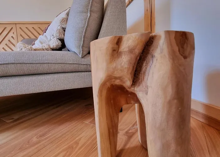 Storczyk Asnyka Centrum Villa