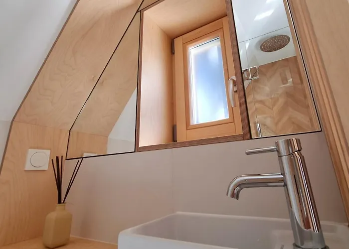 Storczyk Asnyka Centrum Zakopane