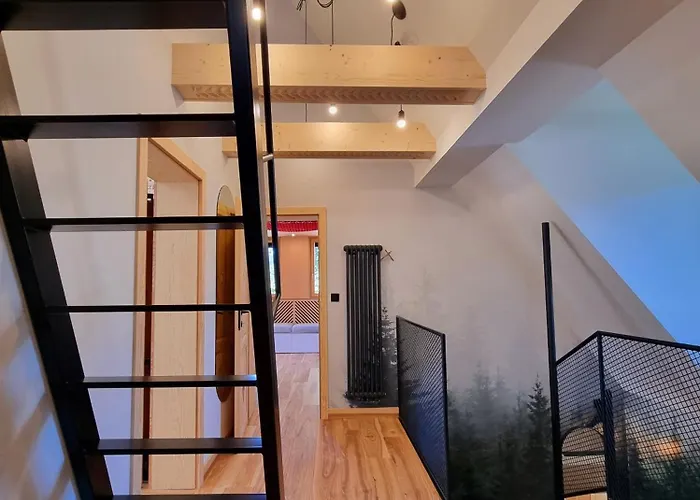 Storczyk Asnyka Centrum