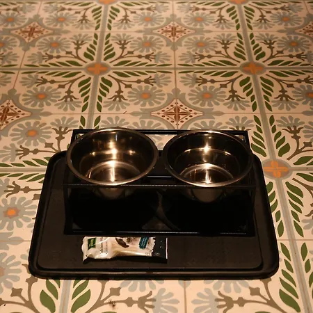 Storczyk Asnyka Centrum Villa