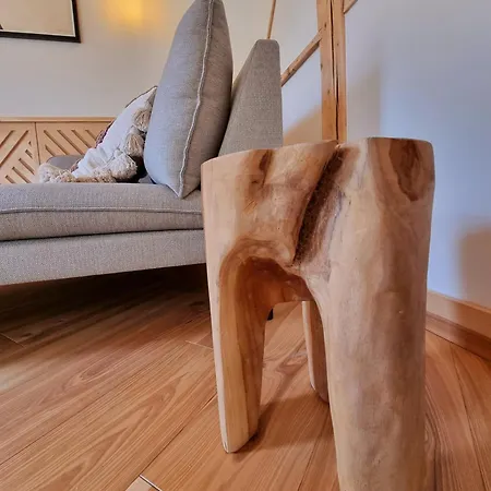 Storczyk Asnyka Centrum Villa