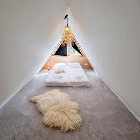 Storczyk Asnyka Centrum * Zakopane