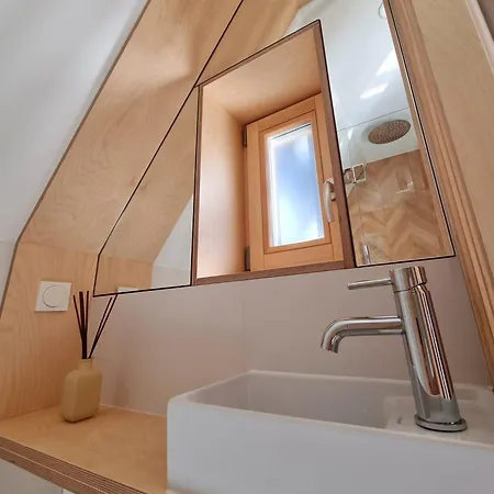 Storczyk Asnyka Centrum Zakopane