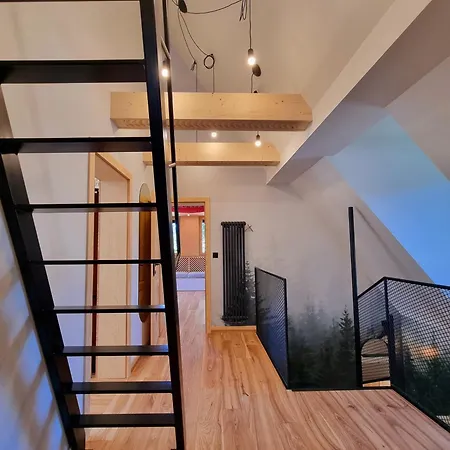 Storczyk Asnyka Centrum