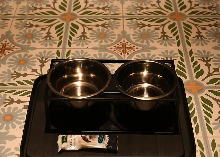 Storczyk Asnyka Centrum فيلة