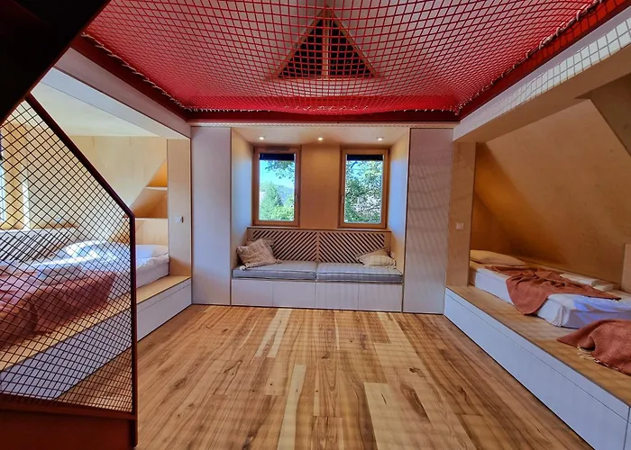 Storczyk Asnyka Centrum *