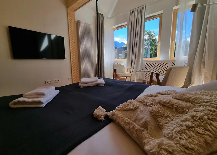 Storczyk Asnyka Centrum * زاكوباني