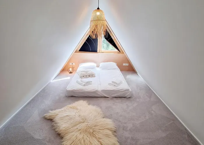 Storczyk Asnyka Centrum * زاكوباني