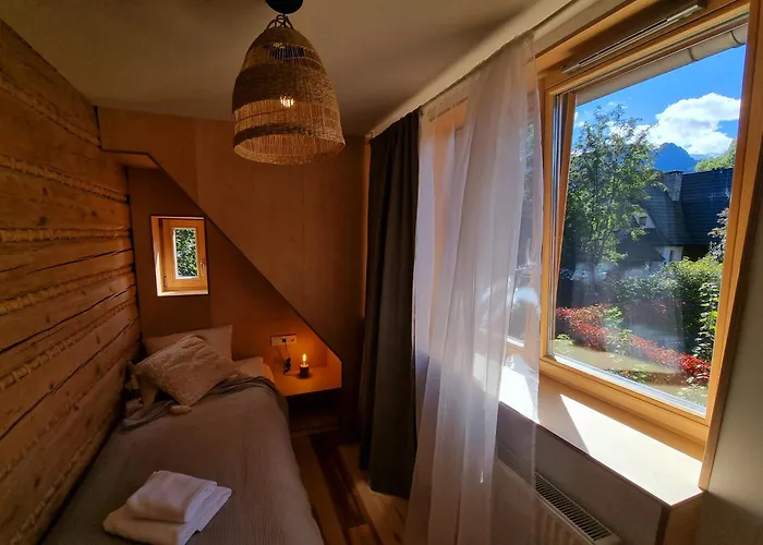 Storczyk Asnyka Centrum *